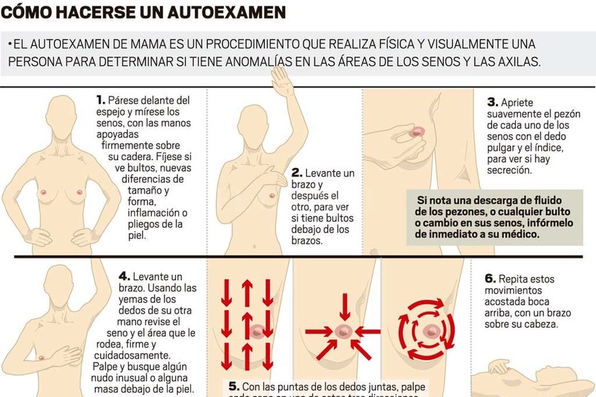ELLITORAL_226712 |  Infografía El Litoral