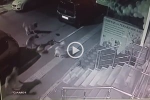 ELLITORAL_245229 |  Captura de pantalla.