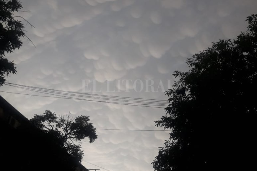 ELLITORAL_232399 |  Luis Cetraro