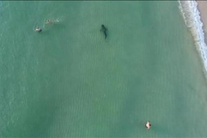 Cian DeBaldo Captura del video realizado por un bombero local.