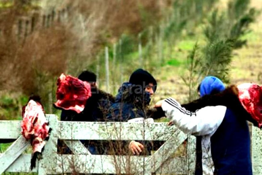 ELLITORAL_157266 | Los vecinos de la zona rápidamente comenzaron a faenar los animales muertos