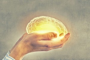 ELLITORAL_265649 |  Gentileza