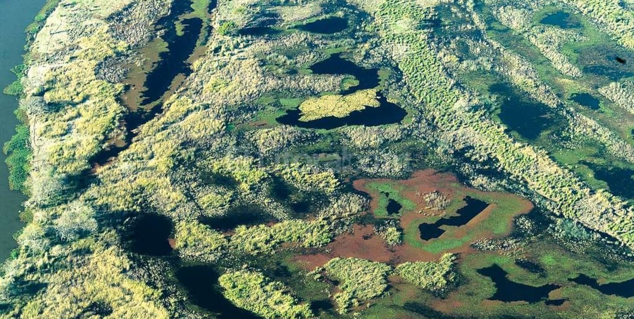Declaran "sitio Ramsar" a los humedales del Delta del Paraná