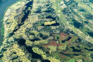Archivo El Litoral El Delta del Paraná se compone de humedales fluviales de las secciones media y baja del valle de inundación del río, e incluye la superficie de dos parques nacionales:  Predelta  e  Islas de Santa Fe