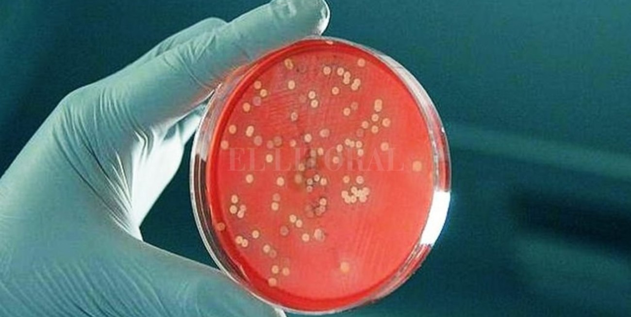 La bacteria es "conocida" y sensible a los antibióticos, confirmó el Malbrán