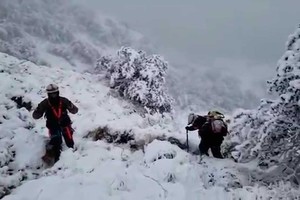 ELLITORAL_212927 |  Captura de pantalla