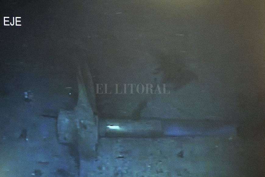 ELLITORAL_230431 |  NA