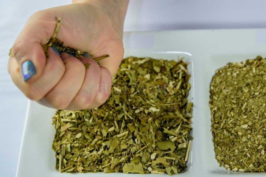 ELLITORAL_252202 |  Gentileza