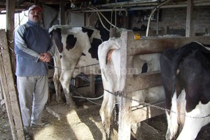 José Zenclussen Dramático panorama. Los tamberos cobran promedio $ 2,49/litro y los costos de producción están cerca de los $ 4.