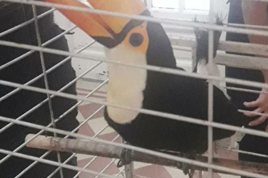 ELLITORAL_279794 |  Policía de Santa Fe