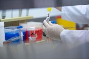 ELLITORAL_291476 |  Captura digital