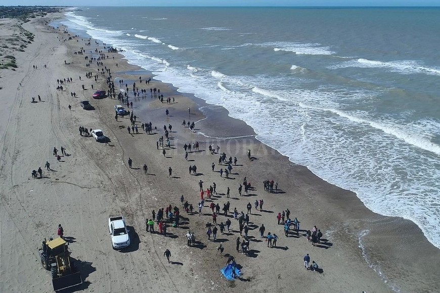 ELLITORAL_262809 |  Prensa Mundo Marino