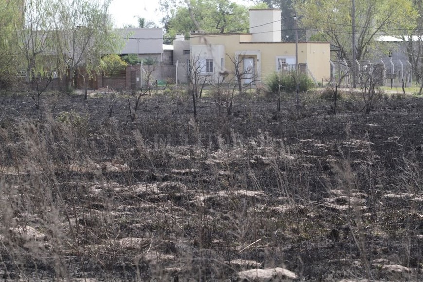 ELLITORAL_220966 |  Mauricio Garín Peligro. Vestigios de una quema en un campo de la zona de Colastiné, muy cerca de las viviendas.