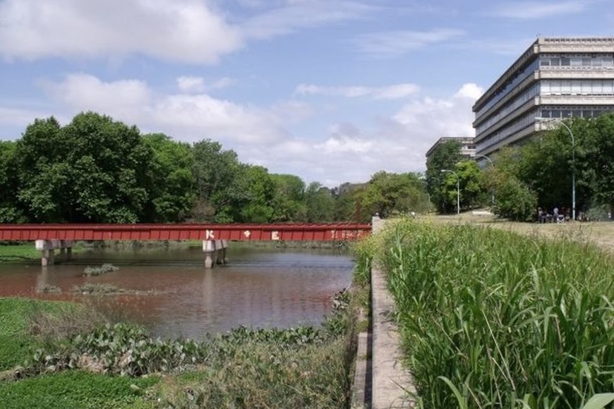 ELLITORAL_223091 | Internet El cadáver estaba en un puente que hay detrás de la Facultad de Arquitectura. En el lugar se encontró el arma que le pertenecía y una vaina servida de calibre 9 milímetros.