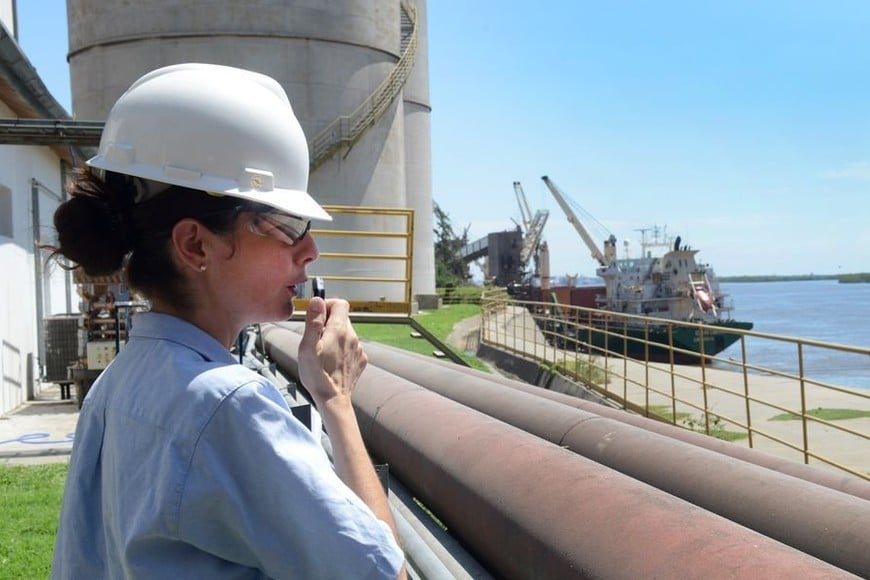 ELLITORAL_227394 | Archivo. Cayó la idea de tratar por igual a los derivados energéticos de la caña de azúcar o el maíz, con los subproductos de los recursos de origen fósil.