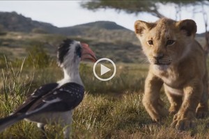 ELLITORAL_243717 |  Captura de pantalla.