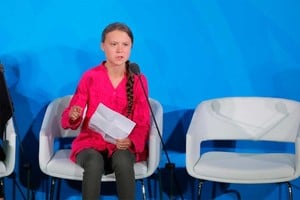 ELLITORAL_263669 |  Gentileza