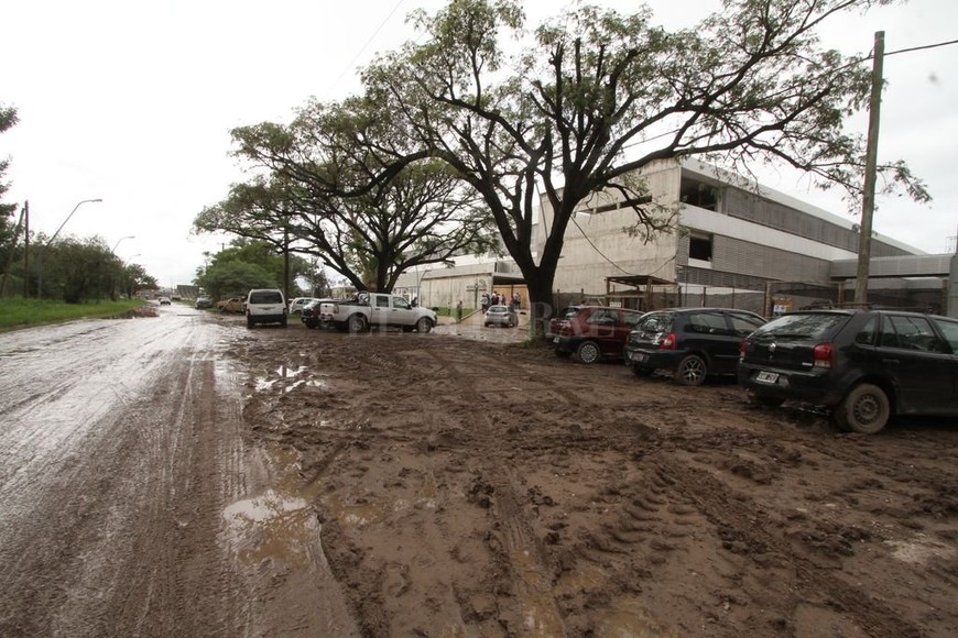 ELLITORAL_209375 |  Guillermo Di Salvatore