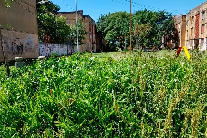 ELLITORAL_278616 |  El Litoral