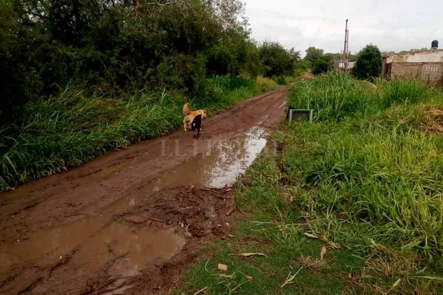 ELLITORAL_235001 | Periodismo Ciudadano / WhatsApp José Cibils 3400