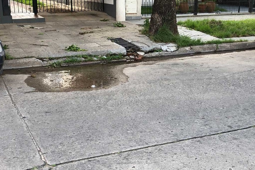 ELLITORAL_232790 |  El Litoral Del mismo modo. En el margen izquierdo de calle Belgrano también hay una pérdida de agua.