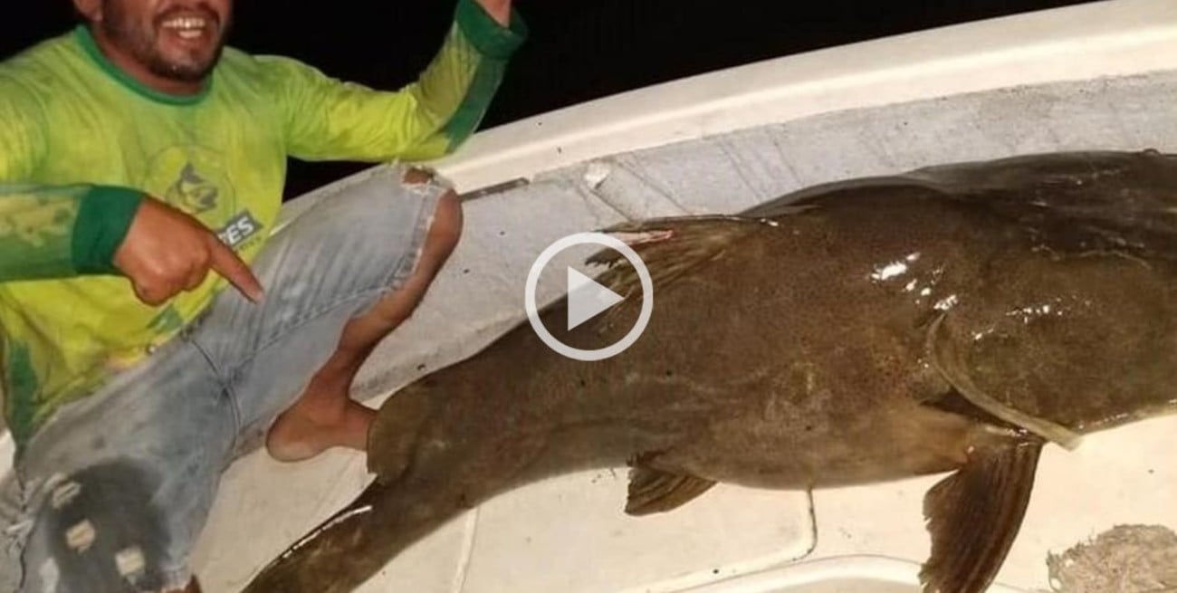 Pescaron un manguruyú de 80 kilos en el río Paraná 