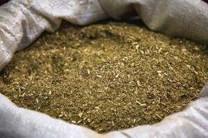 ELLITORAL_190068 |  Internet