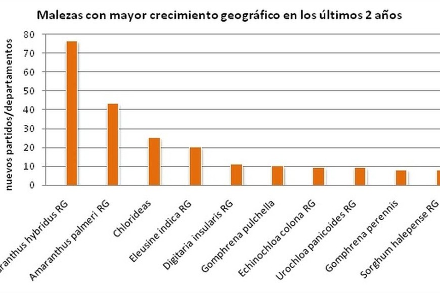 ELLITORAL_202125 |  Archivo