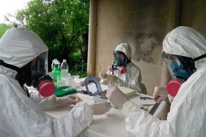 ELLITORAL_258771 |  Gentileza LEcEn. Delta. Las muestras de campo fueron recolectadas en toda la zona del delta del río Paraná, cerca de Campana, Buenos Aires.