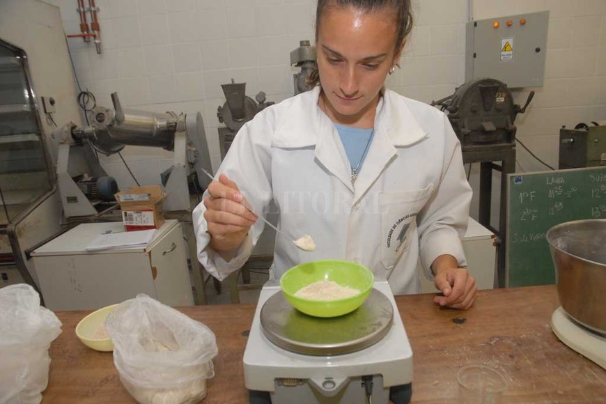 ELLITORAL_227606 |  Flavio Raina Sin Tacc. El sorgo es un cereal muy desaprovechado, que sí pueden consumir las personas celíacas. Con el grano descascarado y parbolizado elaboraron una harina que puede aplicarse a una gran variedad de preparaciones.