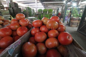 ELLITORAL_281525 |  El Litoral La Resolución establece que la Agencia Santafesina de Seguridad Alimentaria (Assal) semanalmente deberá recabar los datos de frutas y verduras (4 muestras semanales de 4 productos, y un mínimo de 104 en el semestre), en los mercados de concentración y de productores de las ciudades de Santa Fe y Rosario.