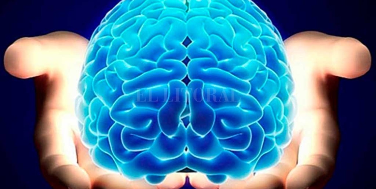 La reserva cerebral, la clave para enfrentar el Alzheimer