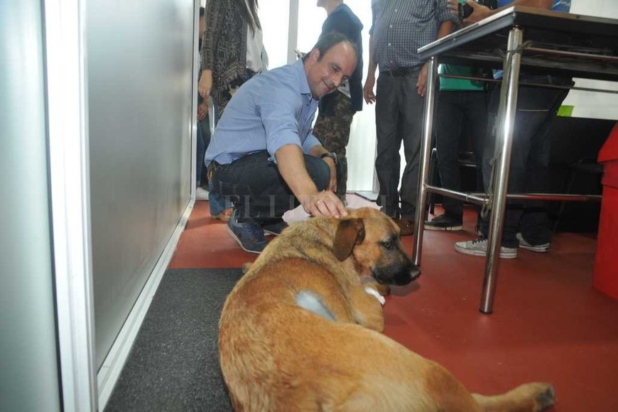 ELLITORAL_208137 |  Flavio Raina Tenemos animales que necesitan de una familia que los cuide, por eso se decidió crear el registro de perros y gatos sin familia , señaló el intendente José Corral.