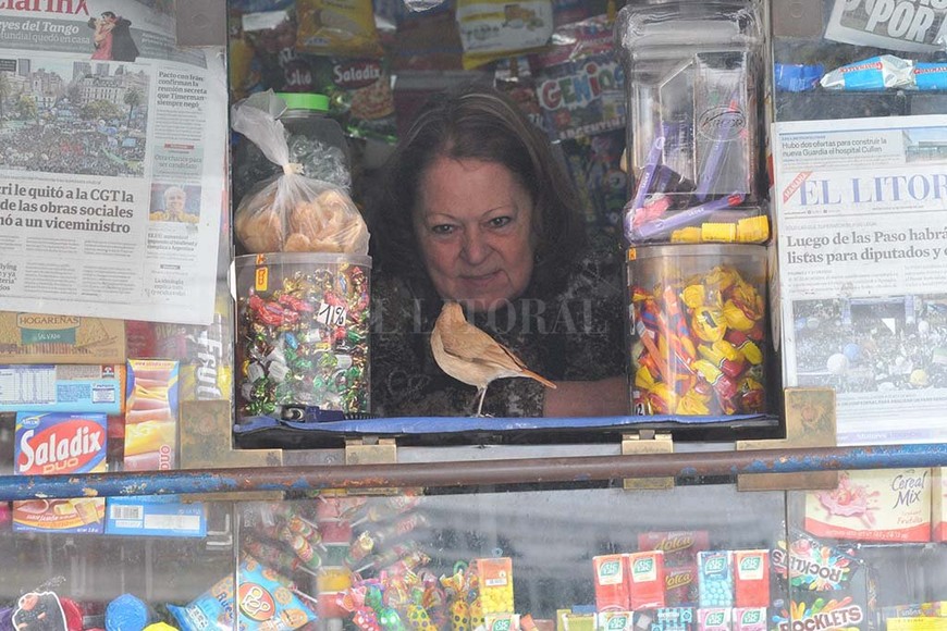ELLITORAL_199263 | Mauricio Garín. El pájaro se acercó a la Granja El Colo en el 2013, en busca de algún pedacito de bizcocho y se hizo amigo .