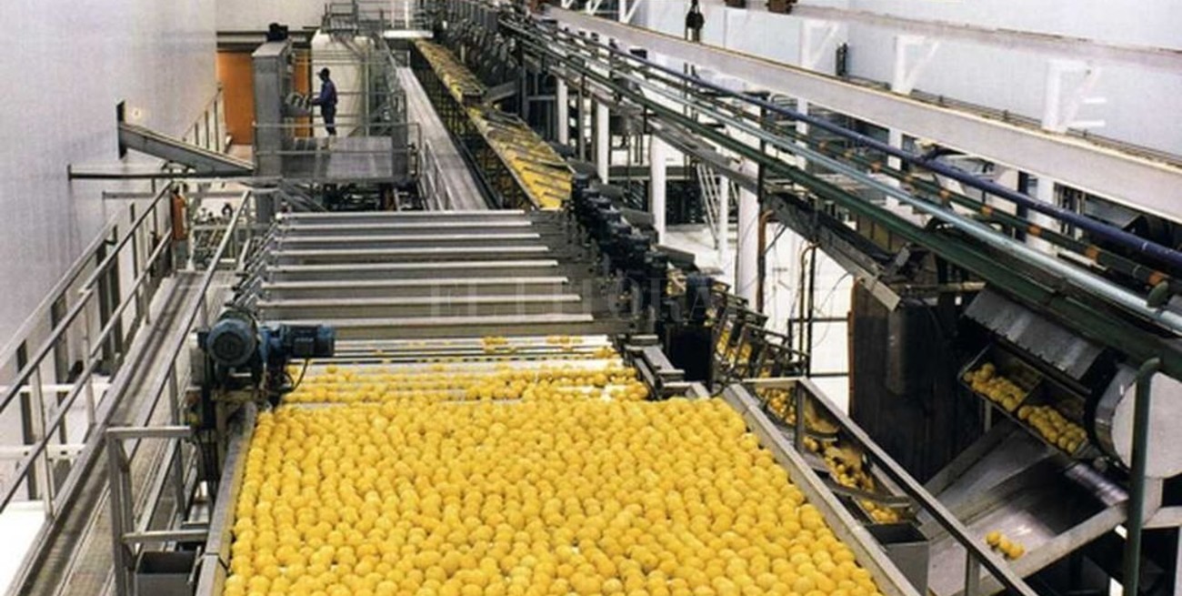 Se concretará este miércoles el primer embarque de limones a EE.UU 