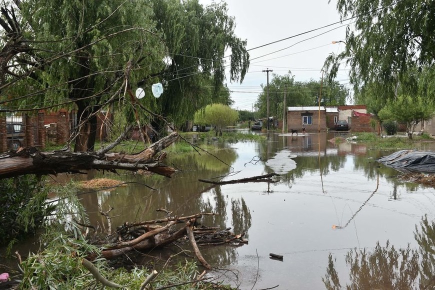 ELLITORAL_275950 |  Flavio Raina Evacuados. Calles inundadas, árboles caídos y cables cortados era el panorama hoy en Larrechea al 9700, en barrio San Agustín.