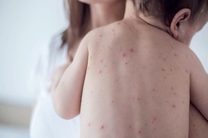 ELLITORAL_262730 |  Gentileza