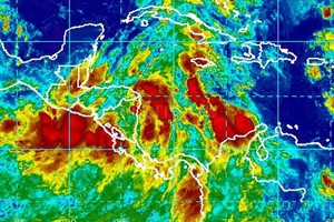 ELLITORAL_192118 |  Internet