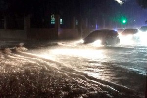 ELLITORAL_234776 |  Internet.