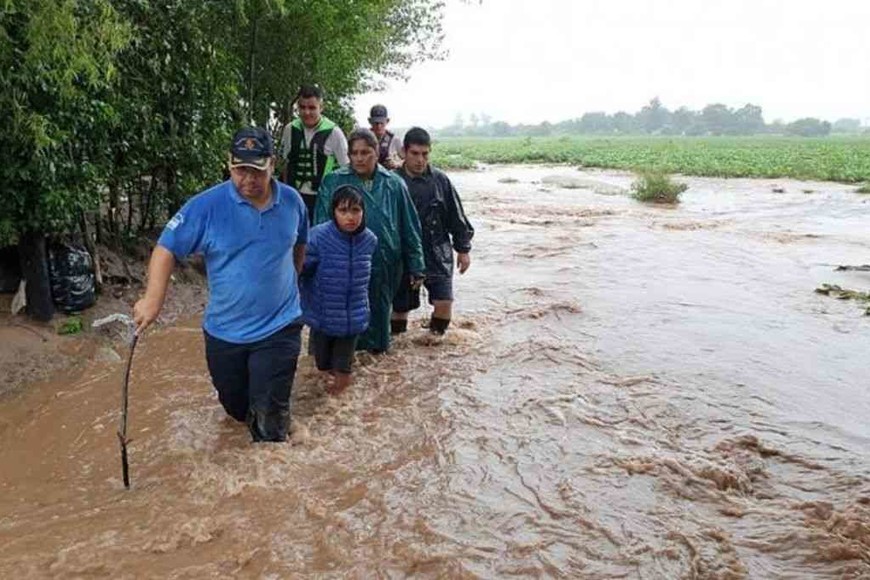 ELLITORAL_284730 |  Gentileza