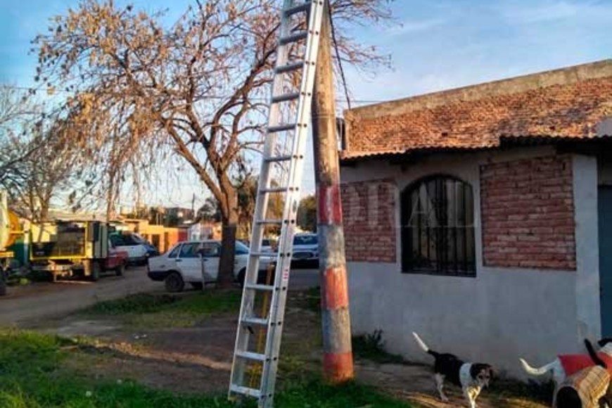 ELLITORAL_257353 |  Gentileza