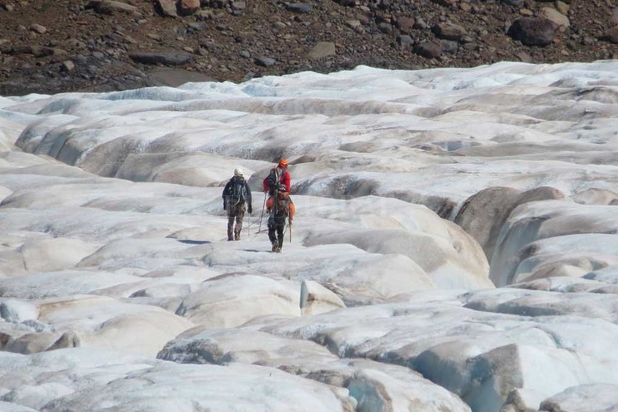 ELLITORAL_263451 |  Prensa Conicet