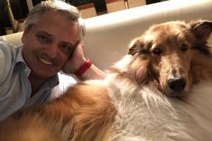 ELLITORAL_275448 |  Instagram