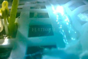 ELLITORAL_235540 |  Clarin