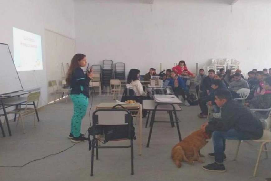 ELLITORAL_280867 | Gentileza Comunitarios. Los animales reciben el trato amable por parte de los alumnos y el cuidado de los vecinos.