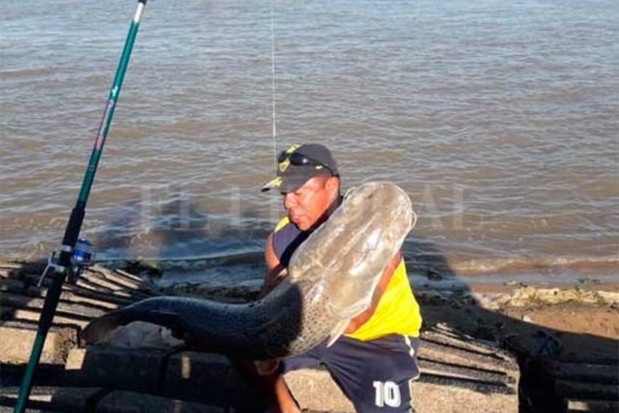 ELLITORAL_267902 |  Periodismo Ciudadano / WhatsApp