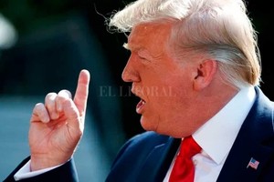 ELLITORAL_262482 |  Gentileza