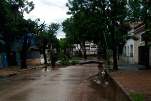 ELLITORAL_229287 |  El Litoral Las fuertes ráfagas de viento generaron caída de árboles en algunos puntos de la ciudad