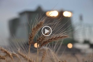 ELLITORAL_191393 |  Mauricio Garín