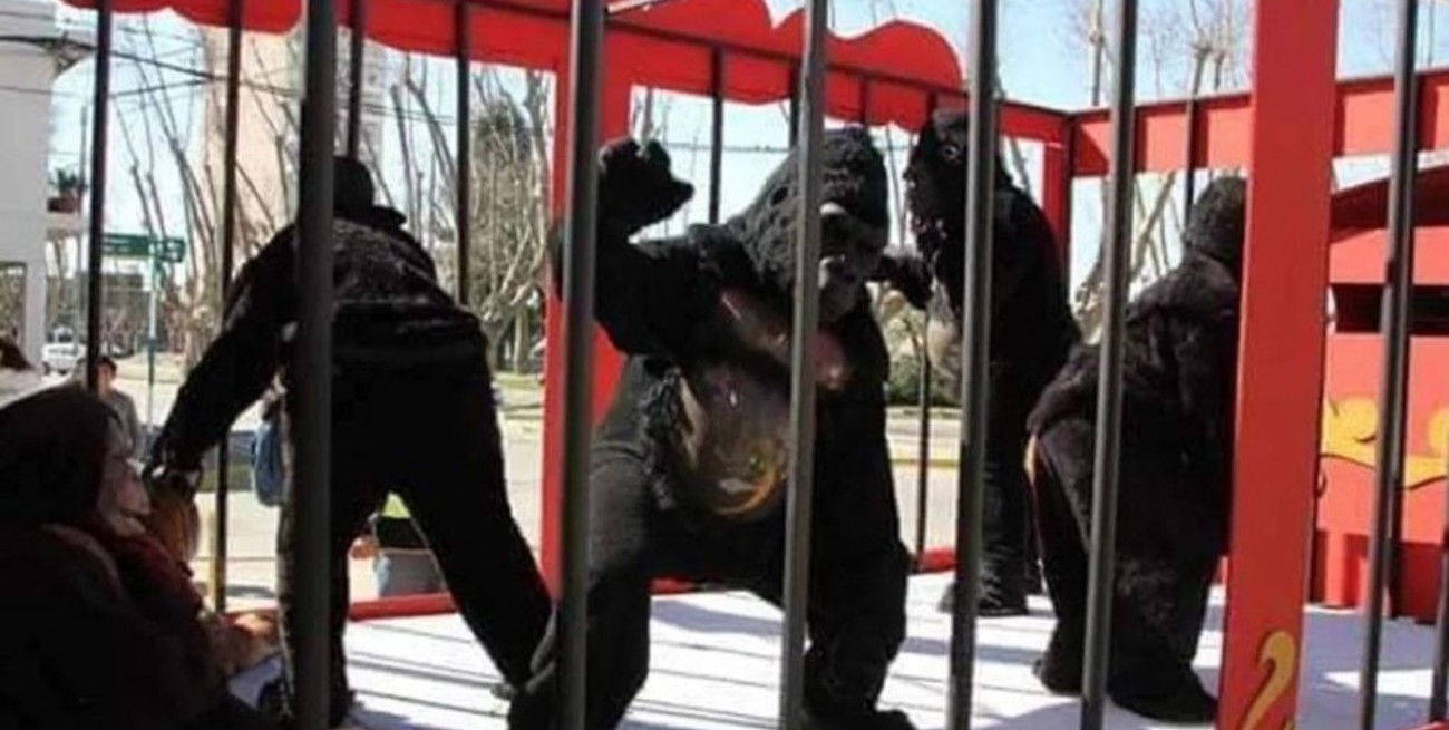 Denunciaron por "maltrato animal" a un circo de Rosario pero eran personas disfrazadas